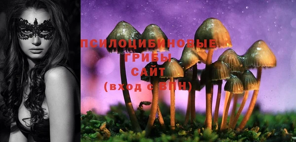мет Баксан