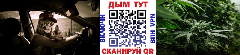 Канабис конопля Нурлат